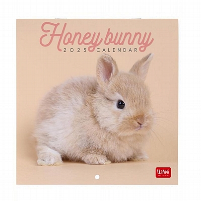 Μηνιαίο Ημερολόγιο Τοίχου 2025 - Honey Bunny (18x18) - Legami