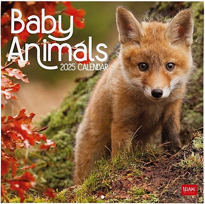 Μηνιαίο Ημερολόγιο Τοίχου 2025 - Baby Animals (30x29) - Legami