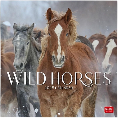 Μηνιαίο Ημερολόγιο Τοίχου 2025 - Wild Horses (30x29) - Legami