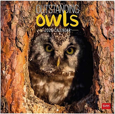 Μηνιαίο Ημερολόγιο Τοίχου 2025 - Outstanding Owls (30x29) - Legami