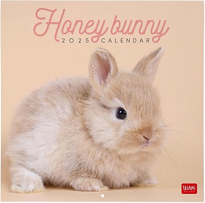 Μηνιαίο Ημερολόγιο Τοίχου 2025 - Honey Bunny (30x29) - Legami